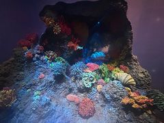 -中国湿地博物馆