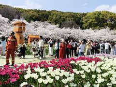 -苏州上方山国家森林公园