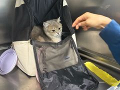 -谐和贝康宠物医院24小时·宠保定点(急重症转诊中心)