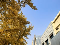 -北京大学口腔医院(魏公村总院)