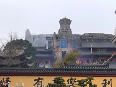 -上海东林寺(金山区)