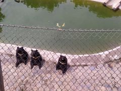 -石家庄市动物园