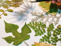 -杭州植物园