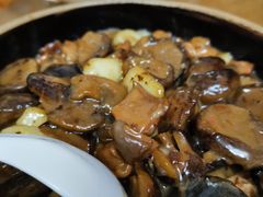 焖冬菇-和记菜馆