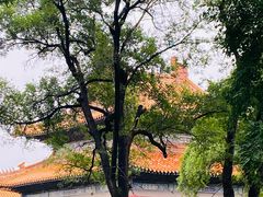 -沈阳市东陵公园