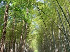 -同里国家湿地公园