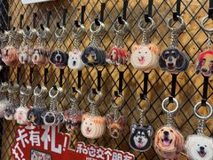 -和它·交个朋友·狗咖猫咖(爱琴海店)
