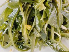 葱香海藻芽-有喜胶东小馆(太申祥和店)