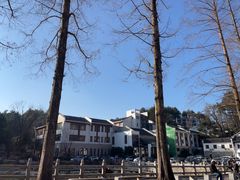 -九华山聚龙大酒店