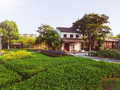 -田园东方蜜桃村的田野营地