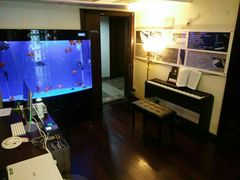 -圣典成人钢琴俱乐部(国贸旗舰校区)