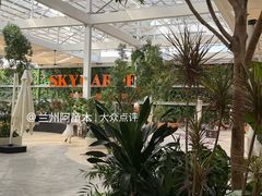-国芳中心