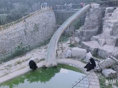 -石家庄市动物园