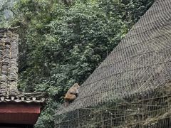 -阿依河景区