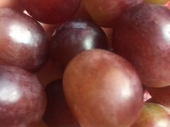 -优农果园(苹果园店)