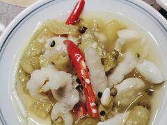 -禄婶鸡煲·打边炉