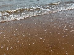 -东疆理想海岸沙滩景区