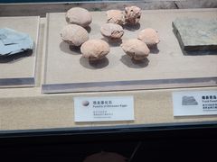 -烟台市博物馆