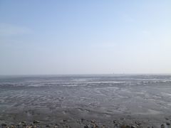 -碧海金沙