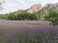 -嵖岈山风景区