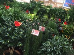 -秦美花卉(天朗·莱茵小城2期店)