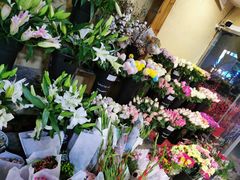 -沪花拾者(好再来花卉鲜花店)