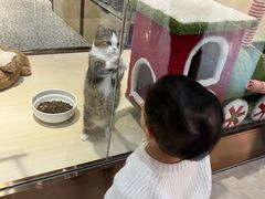 -上海尚嘉中心