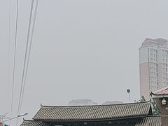 -中环花鸟鱼虫市场