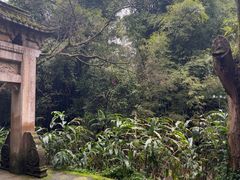 -峨眉山报国寺