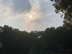 -浙江大学(玉泉校区)