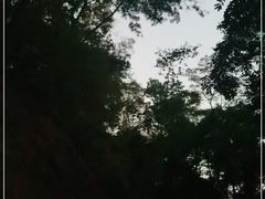 -大屏嶂森林公园