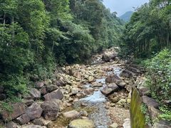 -姑婆山旅游区