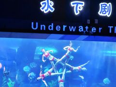 -泉城欧乐堡海洋极地世界