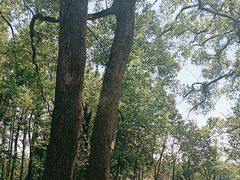 -东湖落雁景区