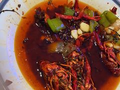 -杨氏青龙虾·羊蝎子(托乐嘉店)