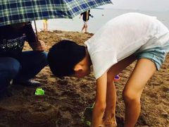-东钱湖阳光沙滩