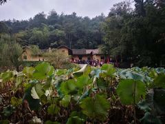 -韶山毛泽东同志故居