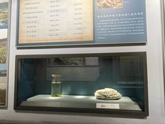 -河东池盐文化博览园