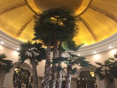 -圣爵菲斯大酒店(长沙世界之窗店)