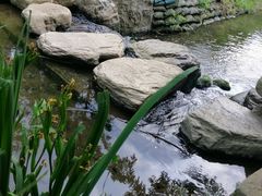 -白水寺森林公园