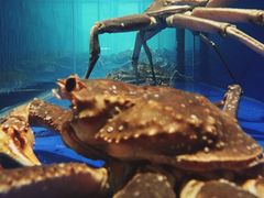 -綱元·海鲜豆捞(明州里店)