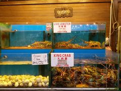 -真浪花园海鲜餐馆