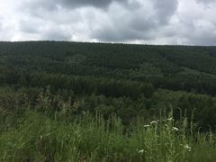 -塞罕坝国家级自然保护区