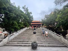 -深圳仙湖植物园