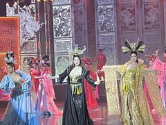 -金东尼人妖秀