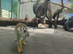 -西安秦岭野生动物园