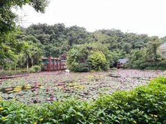 -野象谷景区