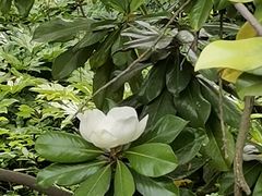 -昆山城市生态森林公园