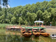 -白渔泡湿地公园