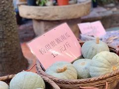 -园林美食城·本土农家菜(杨和镇店)